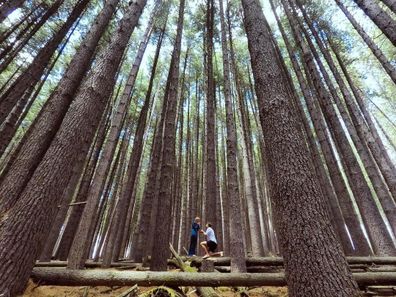 Australia bushfires Bride-to-be vows to 'pour love' into bushfire-ravaged Tumbarumba