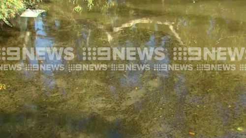 The source of the spill has not yet been determined. (9NEWS)