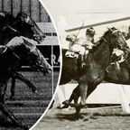 The controversial photo finish in the 1948 Melbourne Cup where Rimfire was judged to have beaten Dark Marne.