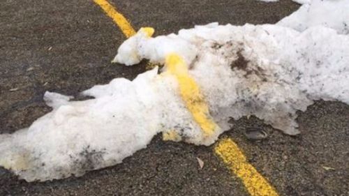 Road worker refuses to let snow get in the way of the job
