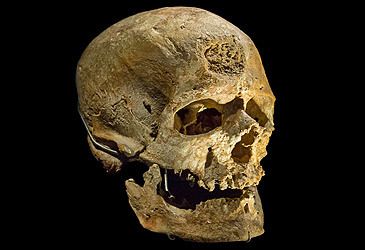Cro-Magnon 1 is a fossil of which hominid species?