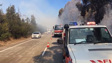Firefighters tackling blaze along Cooranbong motorway
