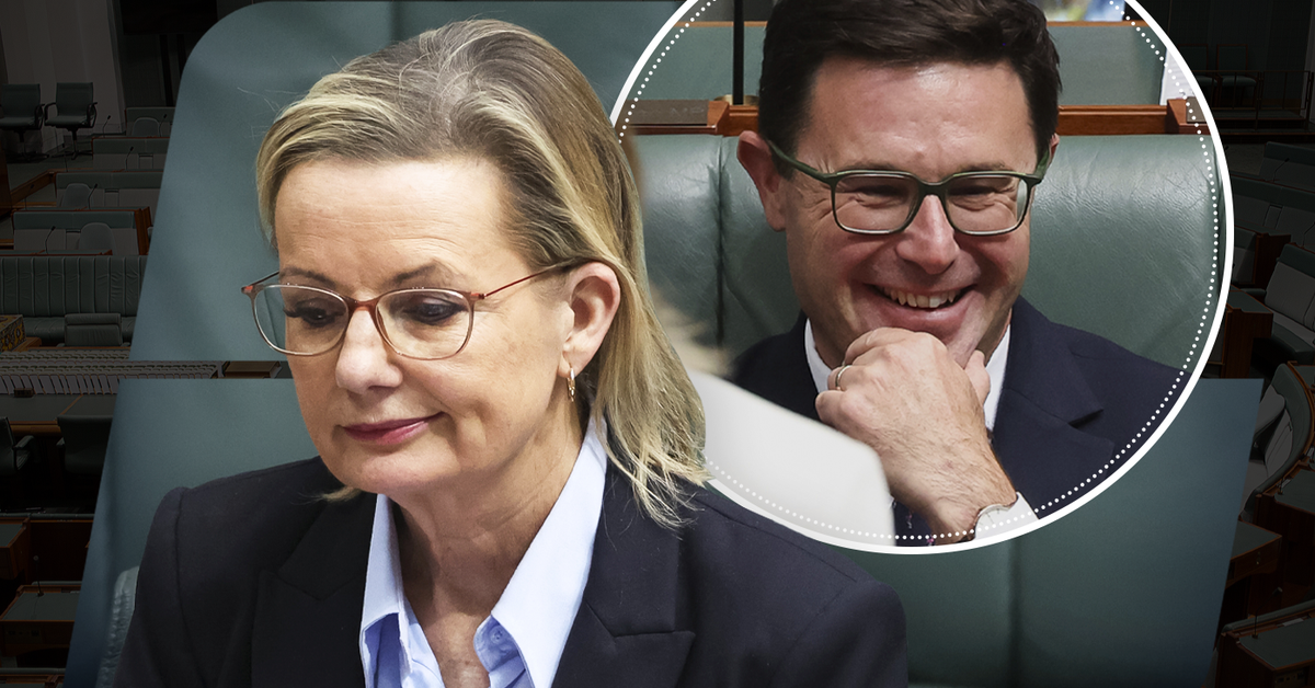 'Smouldering wreckage': Latest Coalition split ridiculed as blame game begins