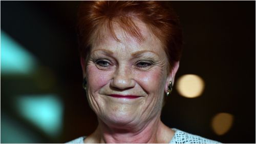 Pauline Hanson will co-lead a parliamentary inquiry into Australia's family law.