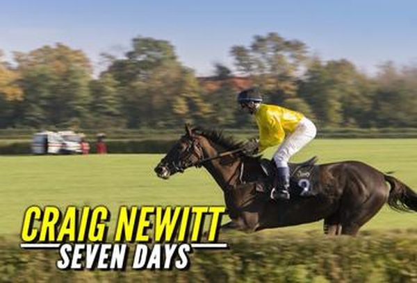Craig Newitt: Seven Days