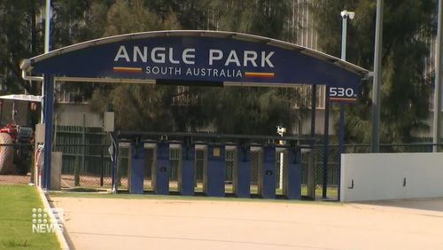 South Australia's greyhound racing industry has been left in shock after a trainer was suspended amid suspicion of live baiting.