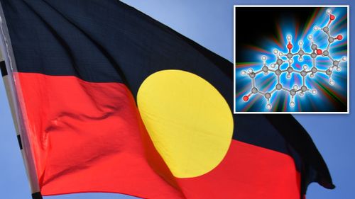 Stress research could help close Indigenous health gap