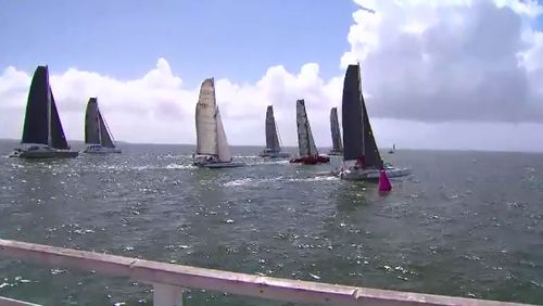 The yacht race underway out of Brisbane. (9NEWS)