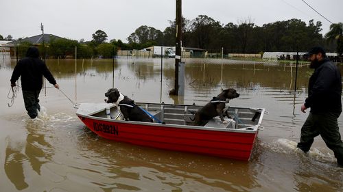 Flooding in Shanes Park, Sydney.