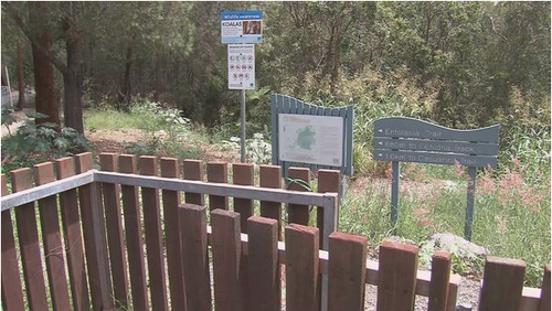 Its alleged the footpath at the Calamvale District Park was spray-painted and a racist banner was attached between two trees between February 3 at 6pm and February 4 at 6am. 