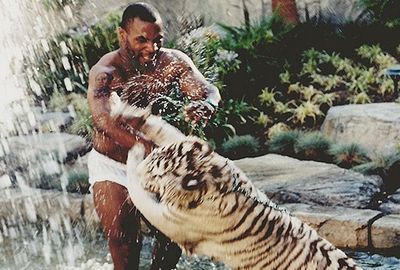 Mike Tyson once owned two white Bengal Tigers. (Supplied)