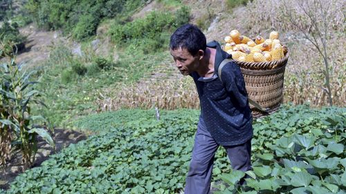 Since his father passed away 20 years ago and his siblings moved away Mr Zinyin has run his family farm alone. (AAP)