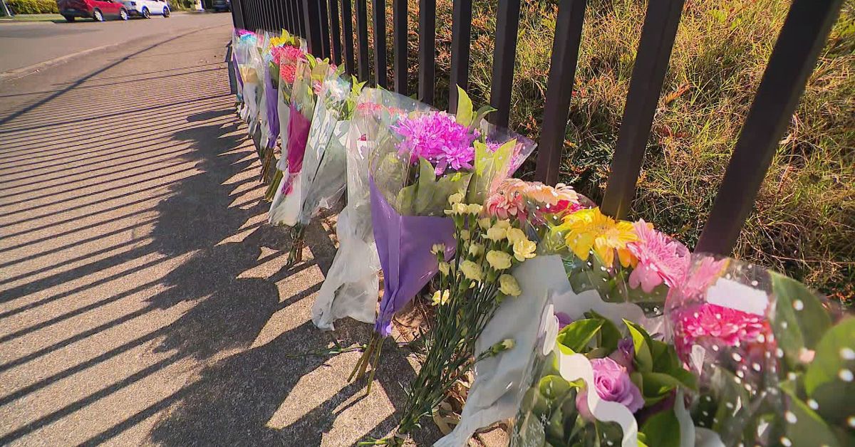Community in mourning after girl, 5, killed outside primary school