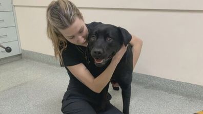 Courtney reuniting with Leo at a suburban vet.