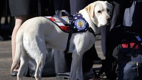Sully, the former President's service dog, was also in attendance at the send-off.