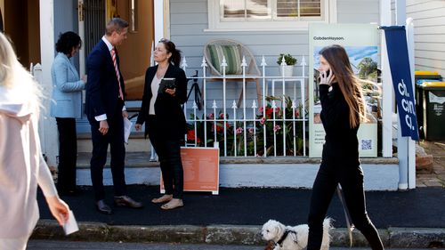 Potential bidders attend an auction