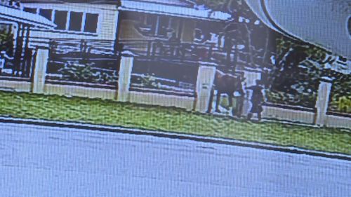 CCTV shows the horse being led from the front gate of its property in Wulguru. (9NEWS)