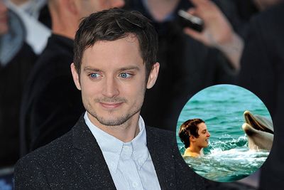 Elijah Wood may never again experience the sort of fame and adoration he received while playing Frodo Baggins in <i>The Lord of the Rings</i> trilogy, but this young hobbit was first loved as the angsty teen, Sandy Ricks, in the successful kids' film, <i>Flipper</i>.