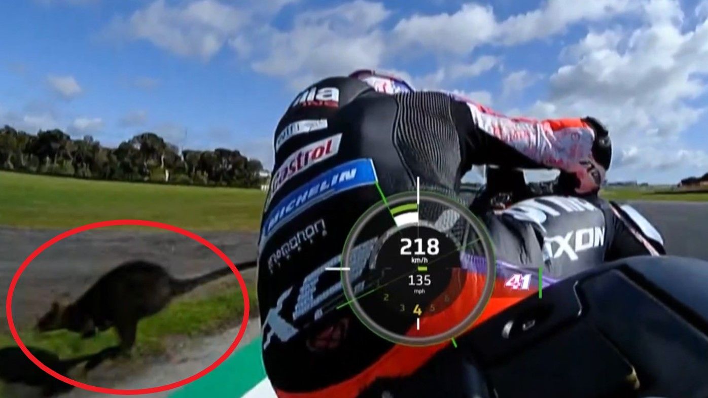 Aleix Espargaró narrowly avoids a wallaby during practice for the Australian MotoGP.