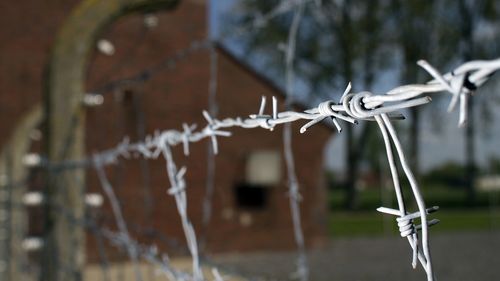 Thousands killed in German concentration camp