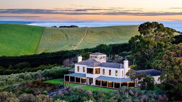 The San Remo estate that turned city slickers into olive oil producers.