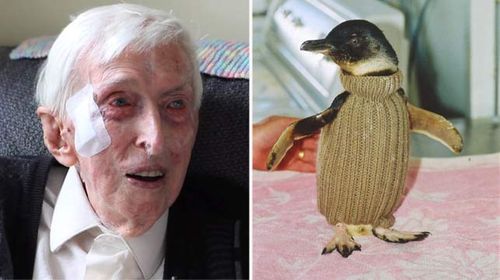 Australia's oldest man still knitting for human and animal friends at 109