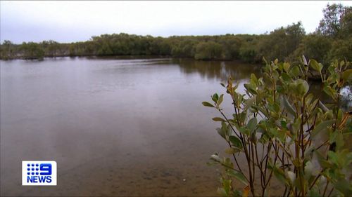 The mystery of why a body of water in Queensland turned a vivid shade of pink has been solved.