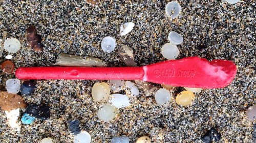 Lego still washing up on British beach after '97 ship accident