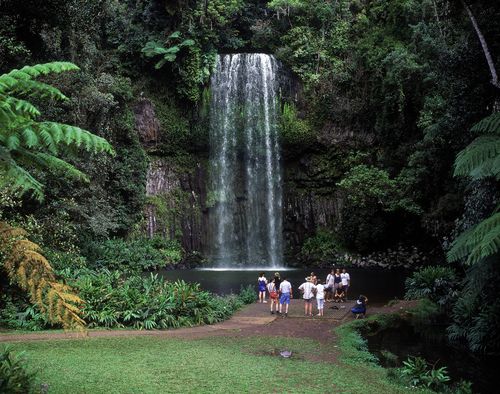 Millaa Millaa waterfall