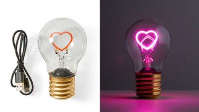 LED neon heart globe: $15