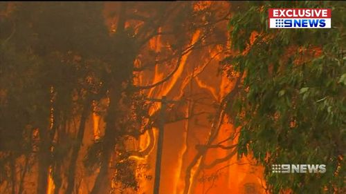 The fire was sparked by a fallen power pole. Picture: 9NEWS