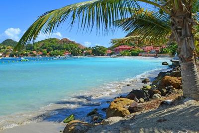 Baie-Mahault, Guadeloupe (French West Indies) 