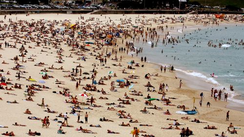 The tourism sector in Australia has been affected by the coronavirus and fewer people travelling internationally.
