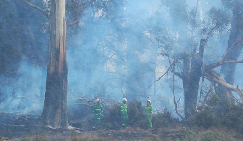 The Country Fire Authority says 15,000 hectares of land have been burnt in the fires, reducing initial estimates of 40,000 ha of devastation. (AAP)