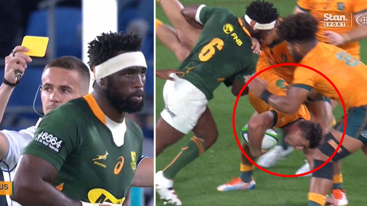 Springboks skipper Siya Kolisi's foul play proves costly as Wallabies take advantage in Rugby Championship