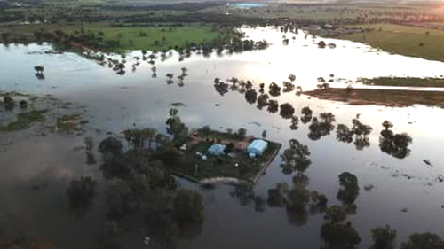 The 1000 acre Nyngan farm, in outback NSW, has been completely surrounded by floodwaters.