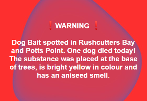 Facebook page Potts Point Puppies has posted a warning online for dog owners in the area to be cautious when walking their dogs around Rushcutters Bay Park. 