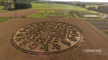 Drones investigate mysterious crop circles