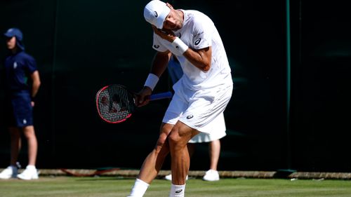 Steve Johnson of the United States gestures to get rid of flying ants during the Men's Singles Match against Moldova's Radu Albot. (AAP)