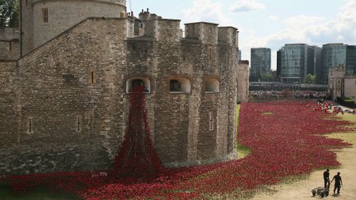 Volunteers continue to assemble an installation made up of 888,246 ceramic poppies in the moat of the Tower of London to commemorate the First World War in London, England. (Getty)