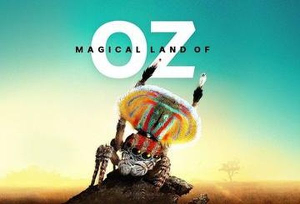 Magical Land Of Oz