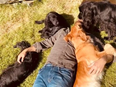 Cuddles from his many puppies at the English countryside 