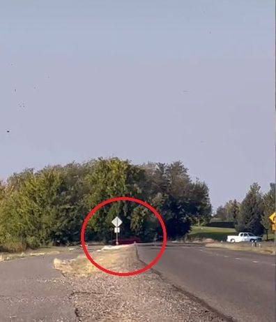 She then notices the car parked under some trees ahead of her route.