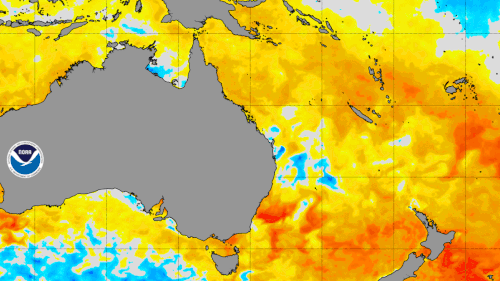 Sea surface temperatures are abnormally high off the coast of NSW