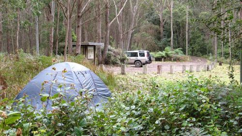 The campsite in the Mount Royal National Park, near where Michelle Pittman parked her car.