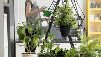 Woman watering hanging plants Airbnb