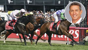 Melbourne Cup tips: 'If that gets up, I'll be taking the rest of the week off'