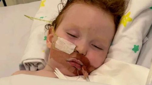 A Queensland baker has sent a warning to parents after her toddler ingested cake decorating dust and ended up in an induced coma. Professional baker Katie Robinson was making a Bluey cake for a first birthday last Friday when her son Dusty Wildman found a canister of cake decorating gold.
"Dusty was just pottering around like he normally does," she said.