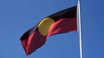 Indigenous flag