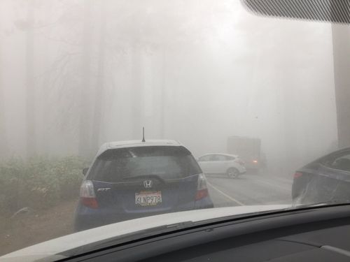 Vehicles among a massive cloud of thick dust spreading across Yosemite Valley after a new rock fall from El Capitan (@wherestamara/Tamara Goode via AP)